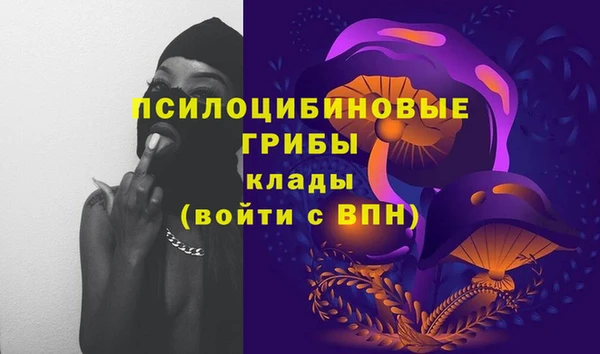 бошки Алексин