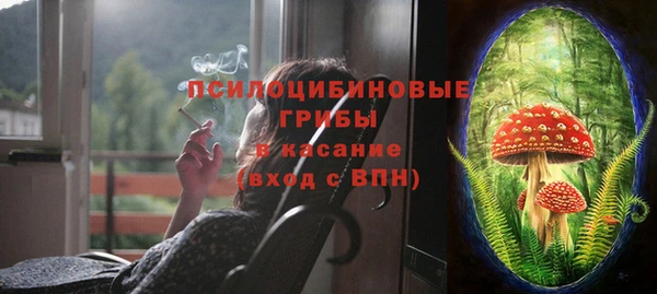 бошки Алексин