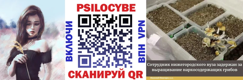 Галлюциногенные грибы Magic Shrooms сайты даркнета наркотические препараты Кимовск